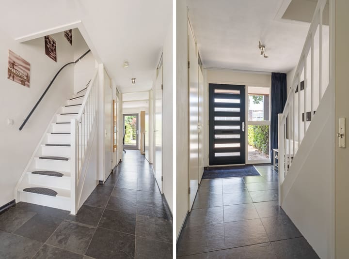 Foto 5 van Waterviolier 100