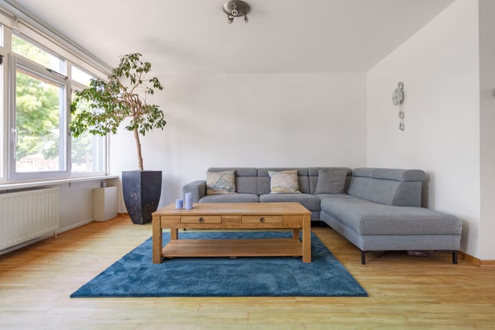 Foto 15 van Waterviolier 100