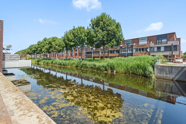 Foto 43 van Waterviolier 100