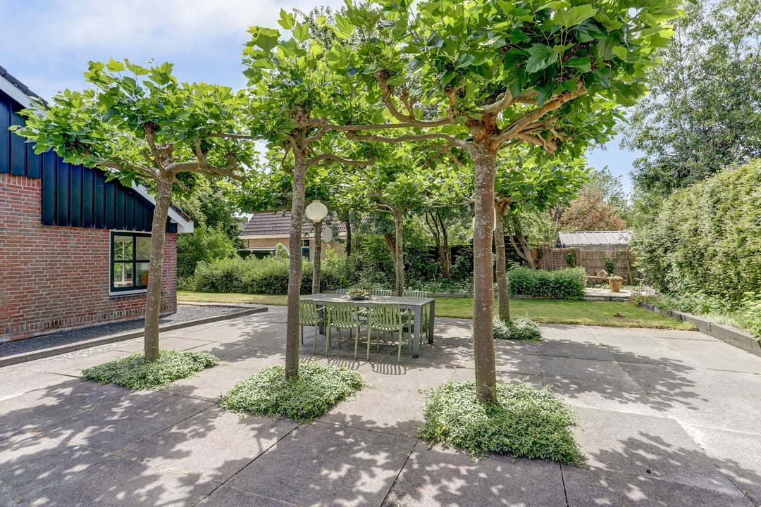 Foto 41 van Stienikkers 2