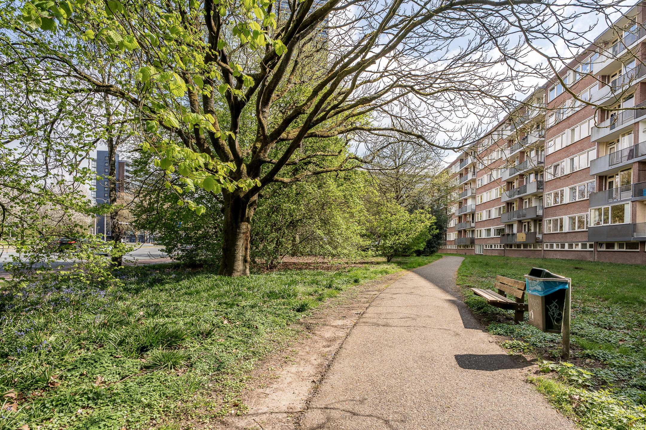 Foto 30 van Cederstraat 33