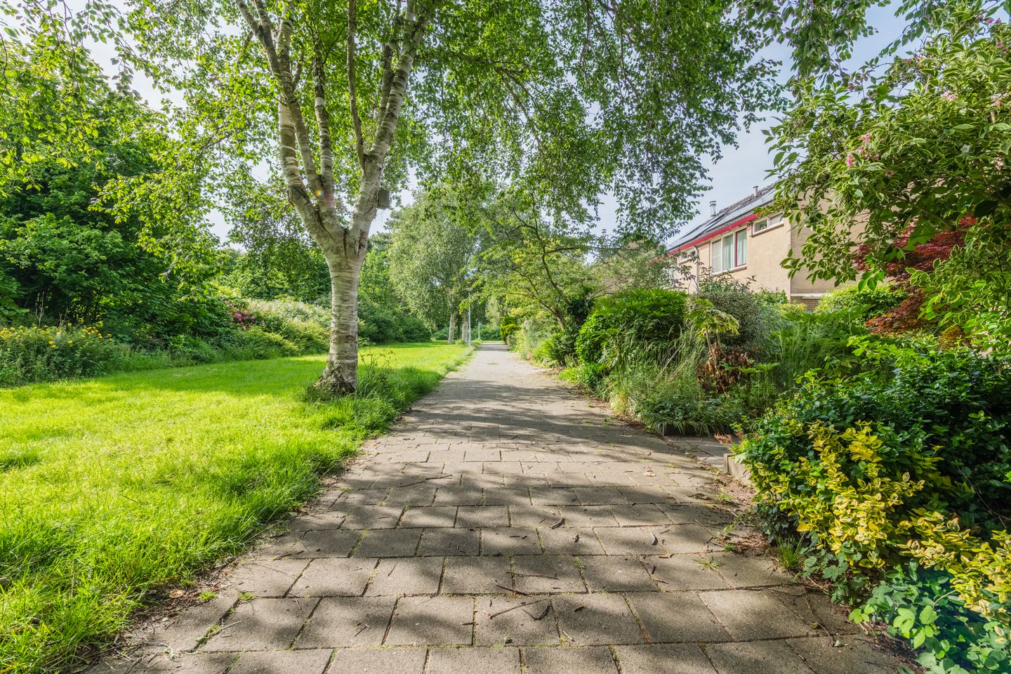 Foto 4 van Woekeven 49