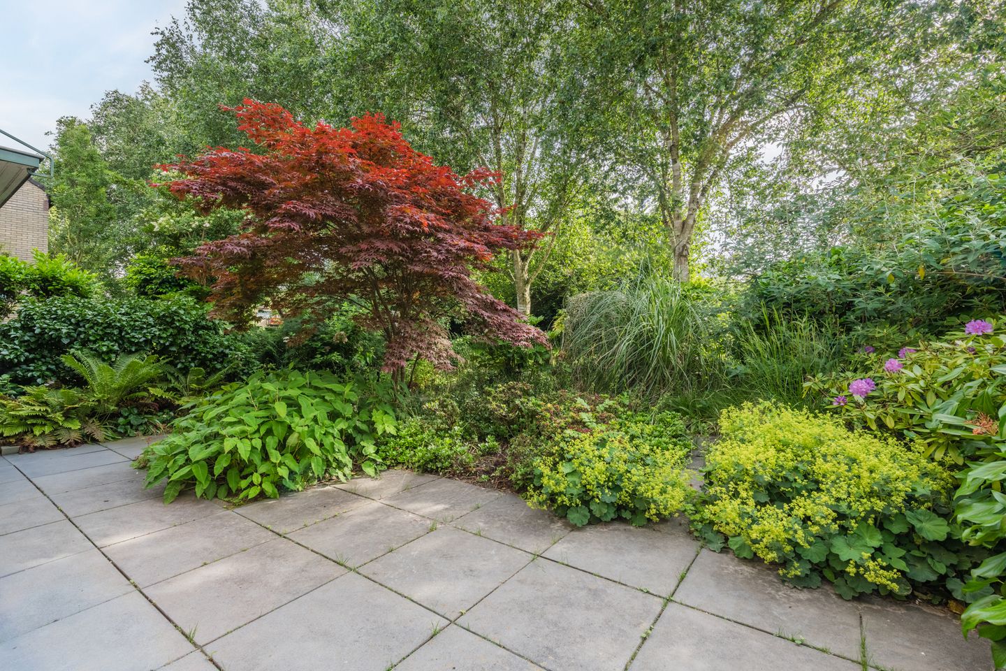 Foto 49 van Woekeven 49