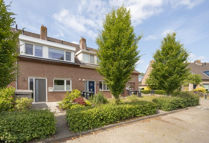 Foto 32 van Patrijs 30