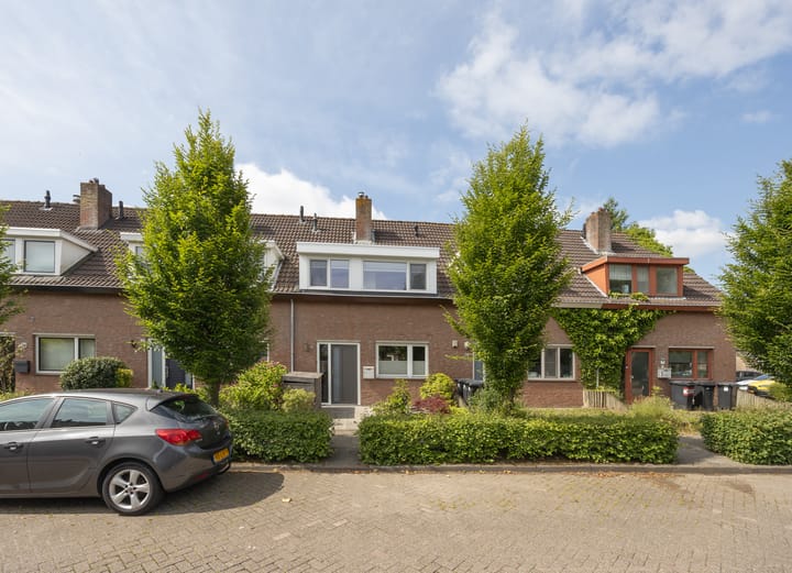 Foto 33 van Patrijs 30