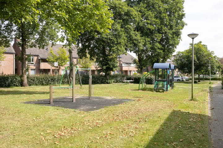 Foto 34 van Patrijs 30