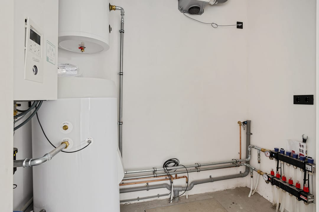 Foto 17 van Ganzenroer 15