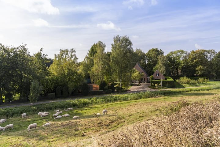 Foto 37 van Reijerweg 4