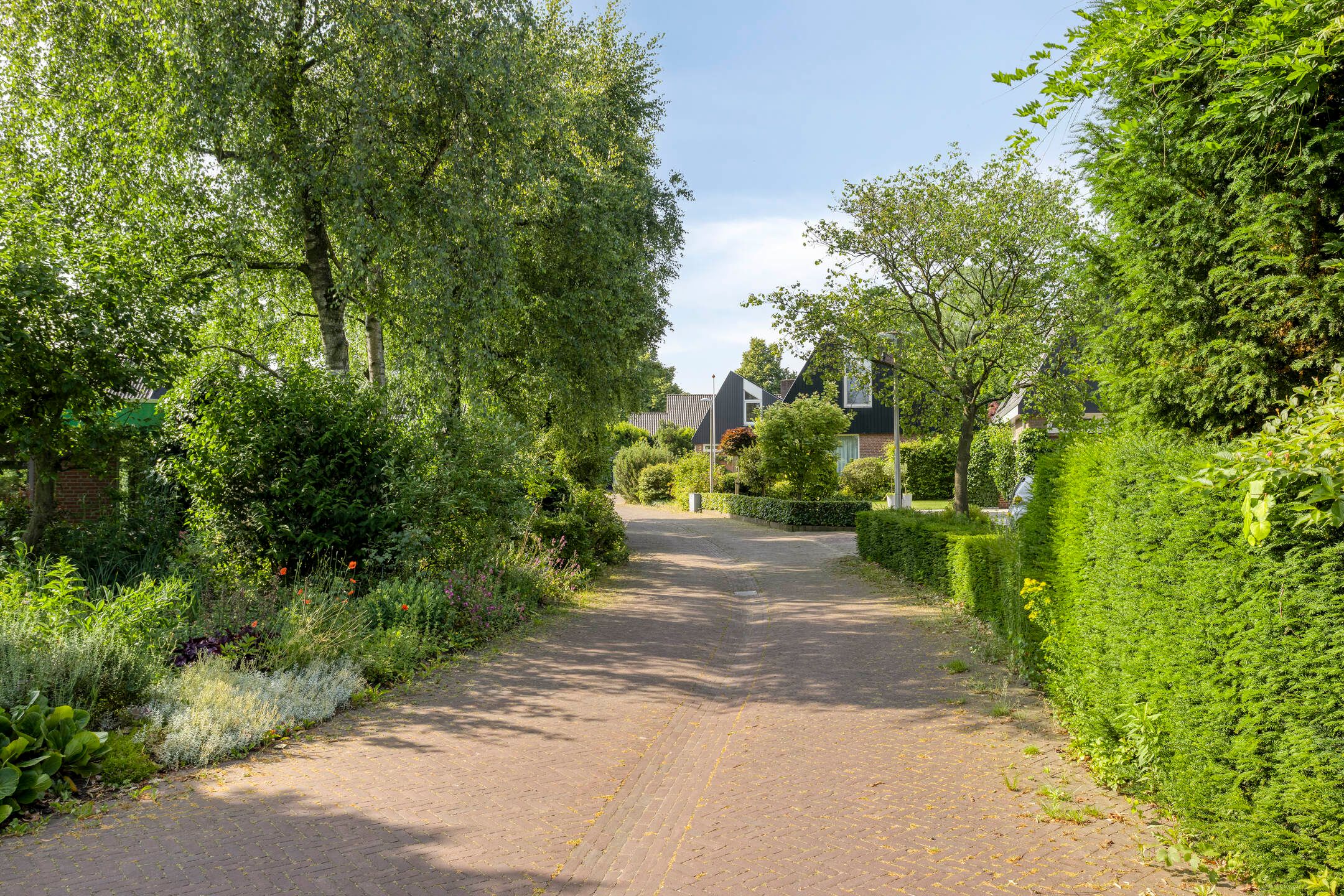 Foto 6 van Korte Voren 11