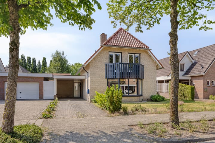 undefined main image