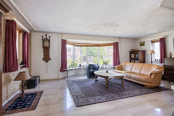 Foto 2 van de Wulp 1