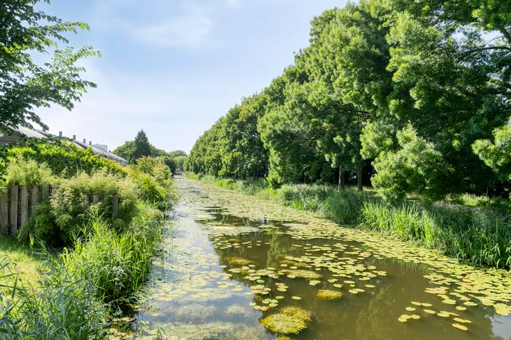 Foto 35 van Noordzijdsedijk 116