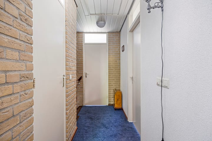 Foto 11 van de Wulp 1