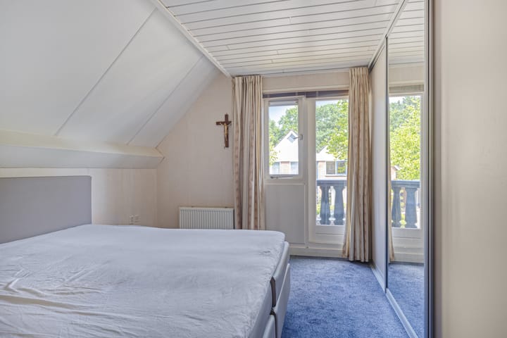 Foto 12 van de Wulp 1