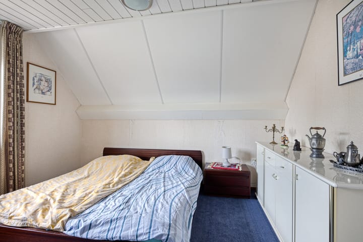 Foto 16 van de Wulp 1