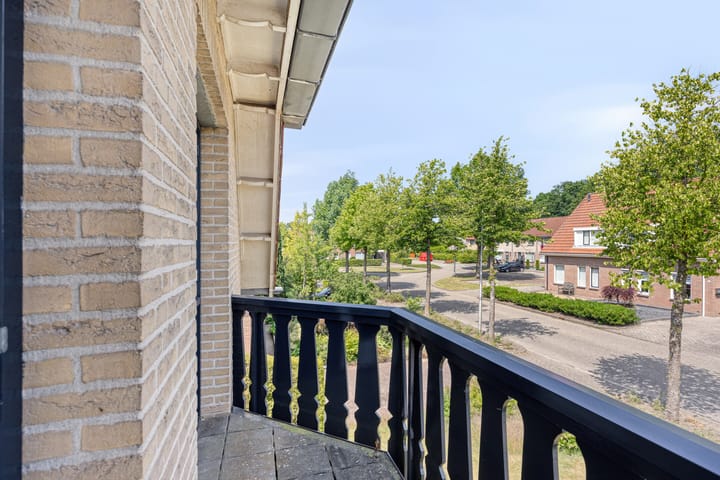 Foto 18 van de Wulp 1