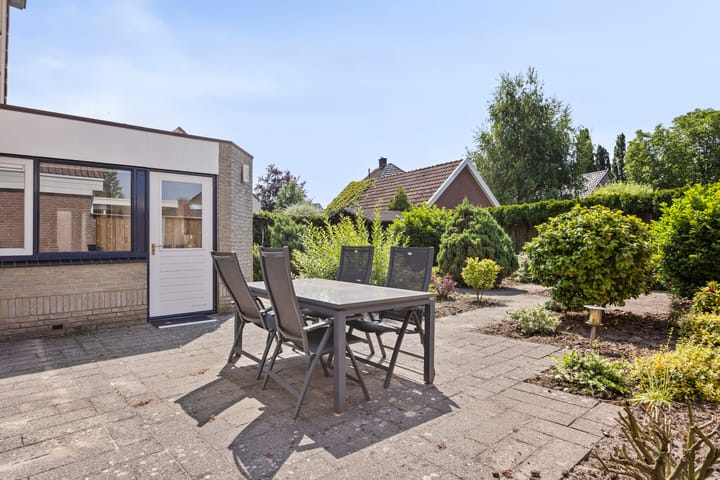 Foto 24 van de Wulp 1