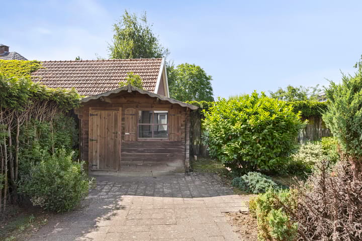 Foto 25 van de Wulp 1