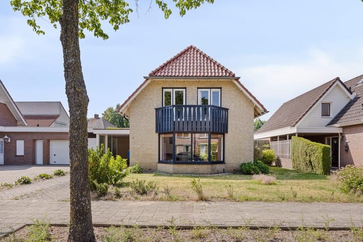 Foto 29 van de Wulp 1