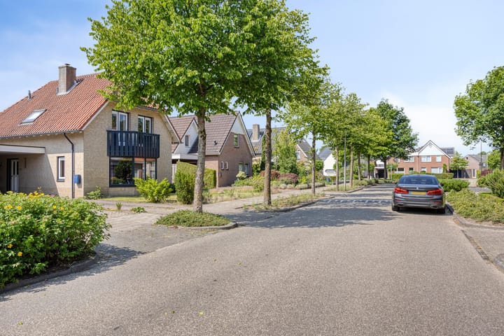 Foto 30 van de Wulp 1