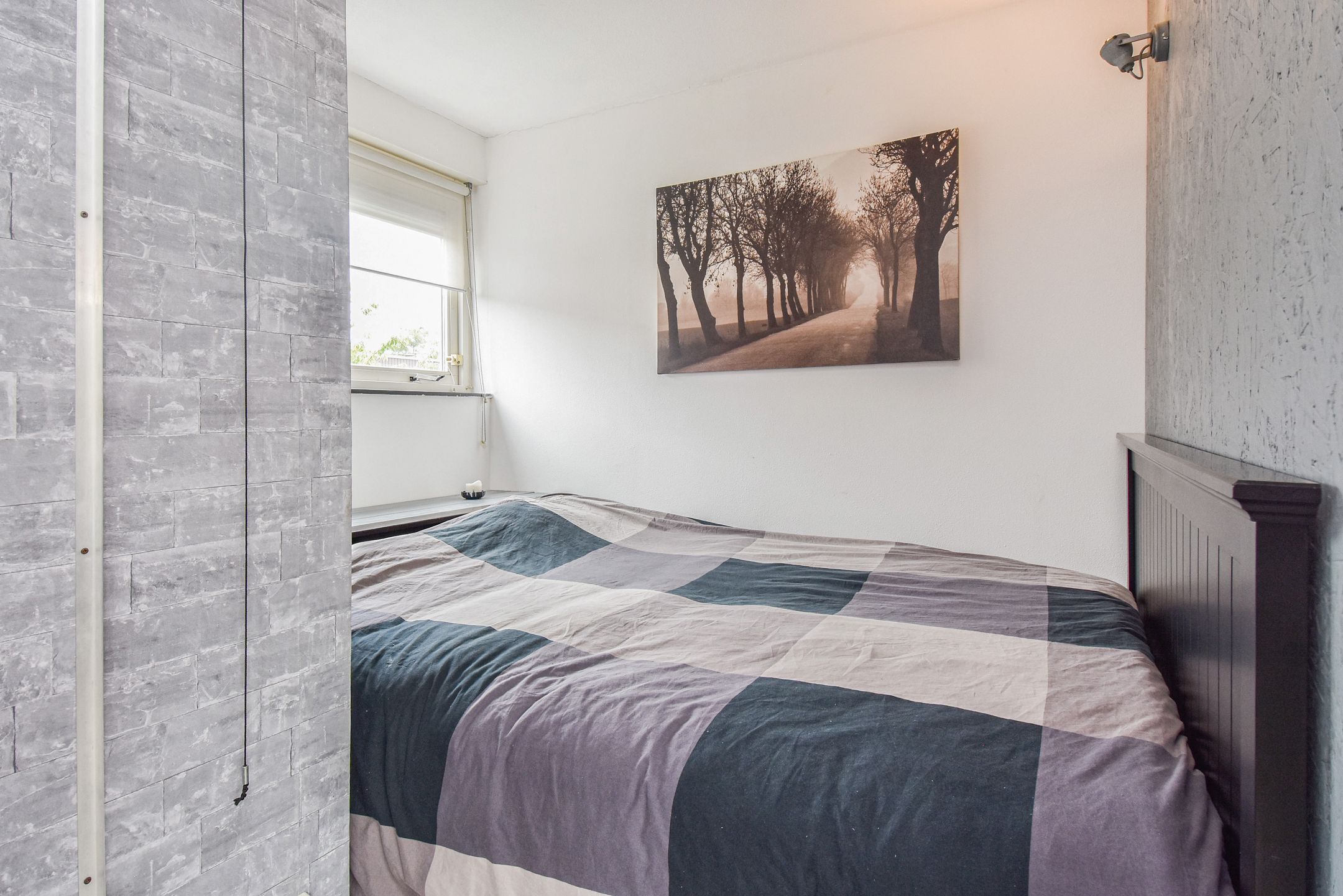 Foto 48 van Zomereik 48