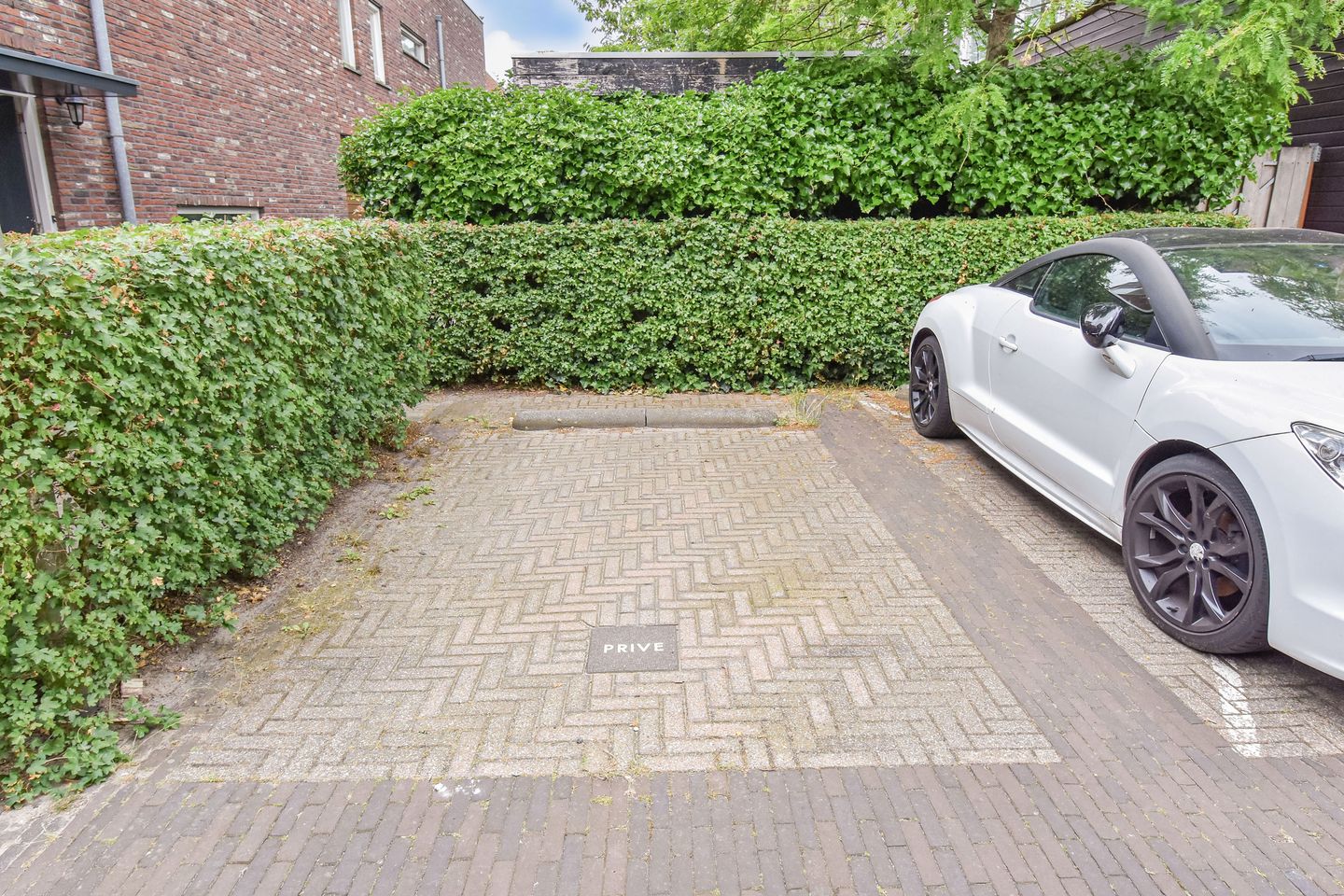 Foto 55 van Zomereik 48