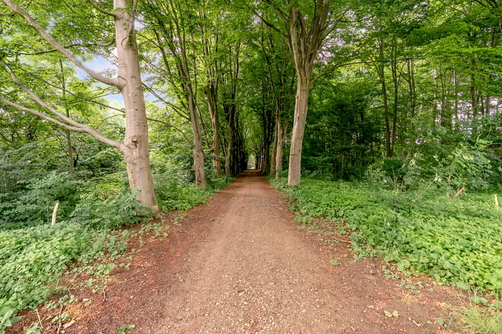 Foto 52 van Frans Duwaerstraat 34