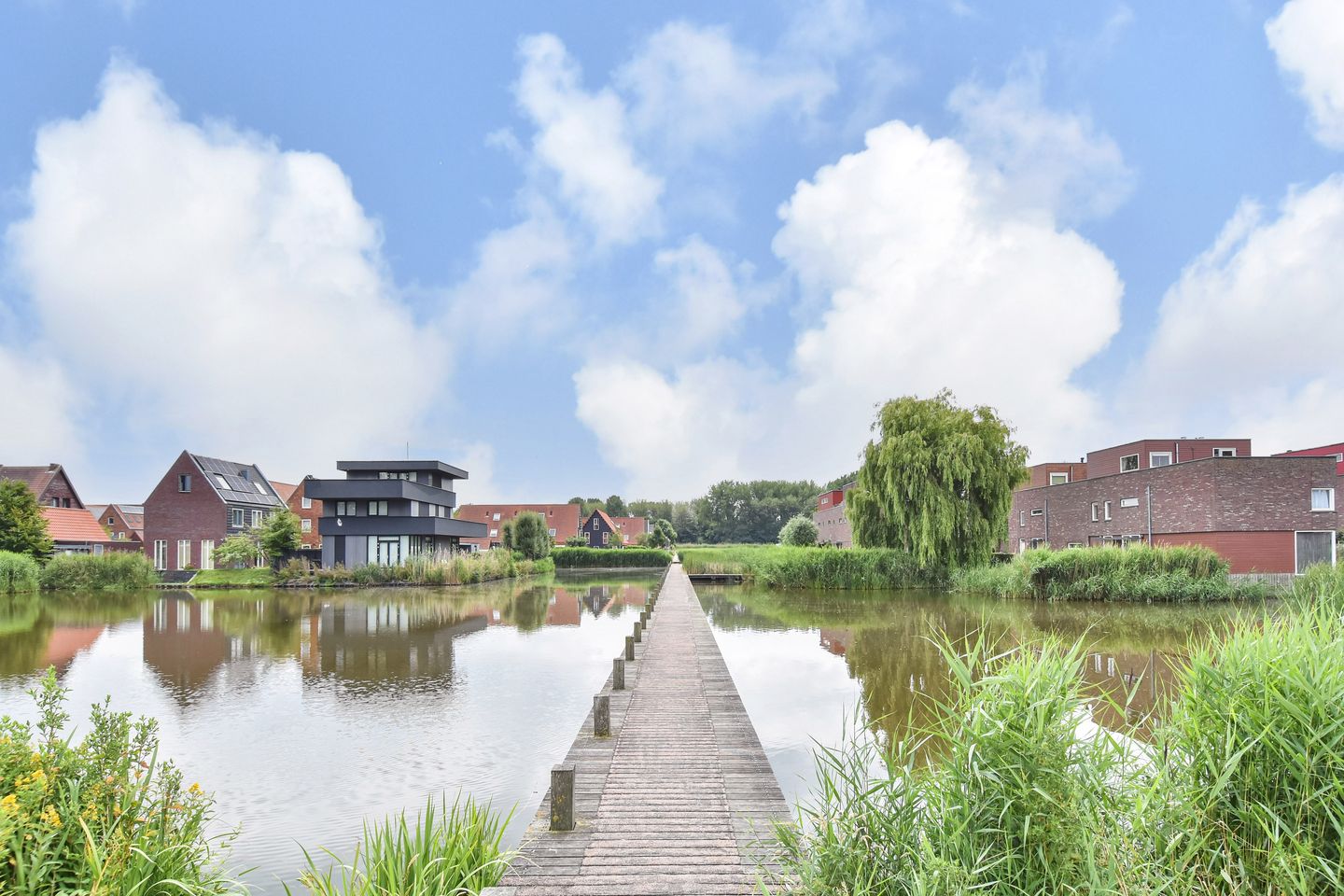 Foto 59 van Zomereik 48