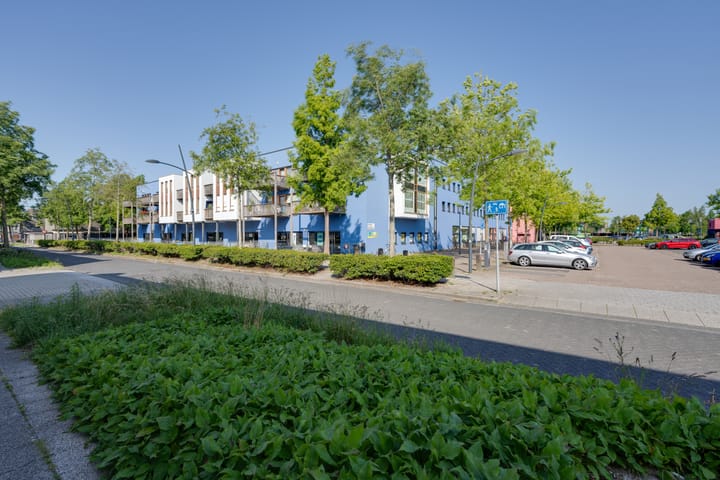 Foto 7 van Zocalo 12