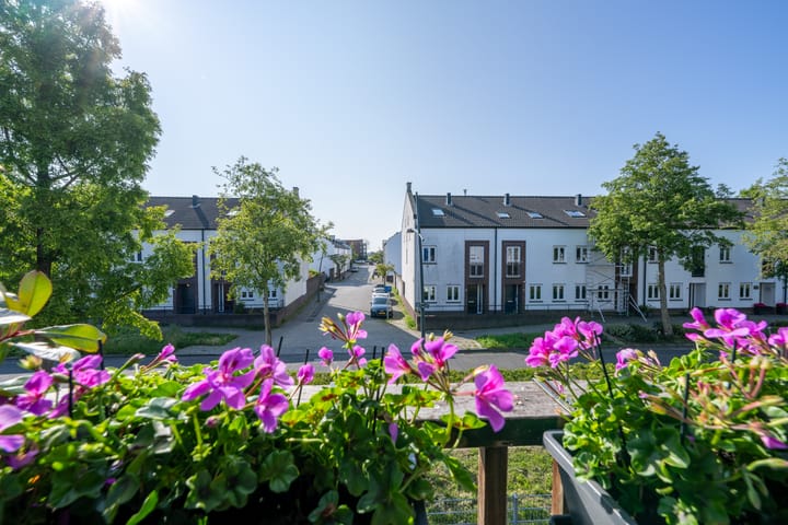 Foto 35 van Zocalo 12