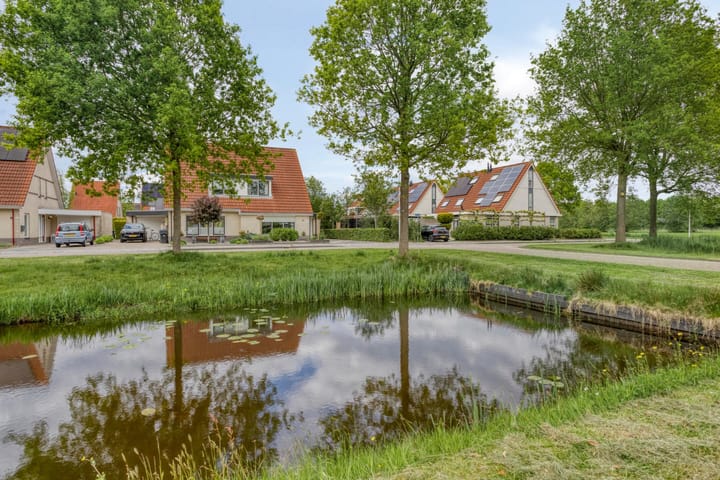 Foto 3 van Roggeblom 28