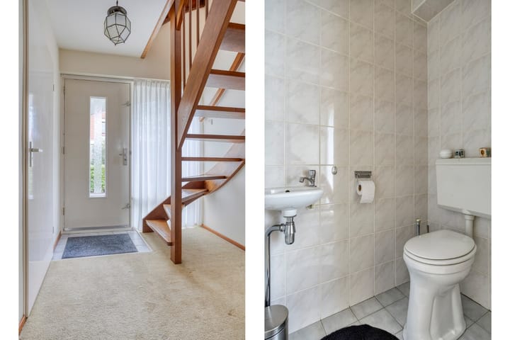 Foto 6 van Roggeblom 28