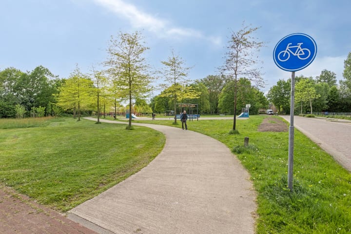 Foto 27 van Roggeblom 28