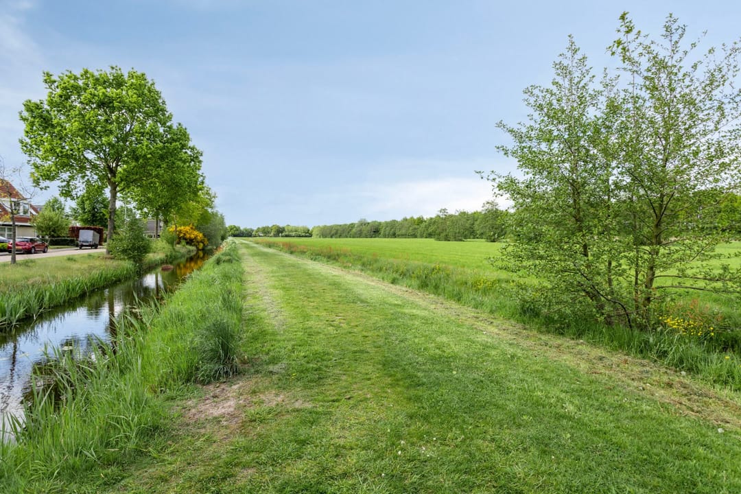 Photo 28 of Roggeblom 28