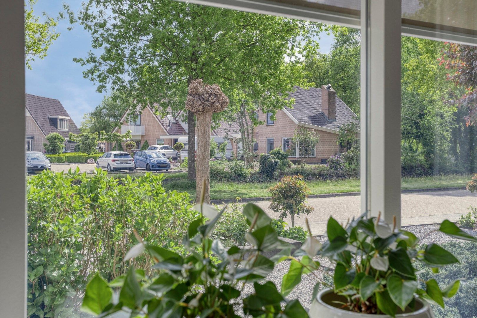 Photo 30 of Roggeblom 28