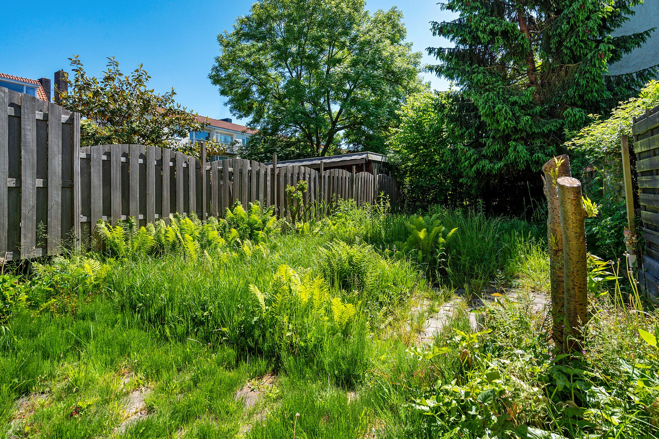 Foto 27 van Pieter van Aschstraat 22-B