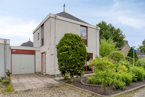 undefined main image