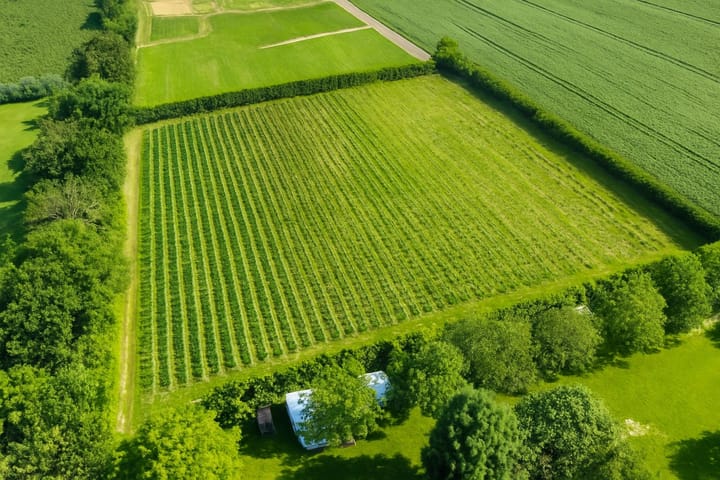 Foto 65 van Weltevredendijk 1