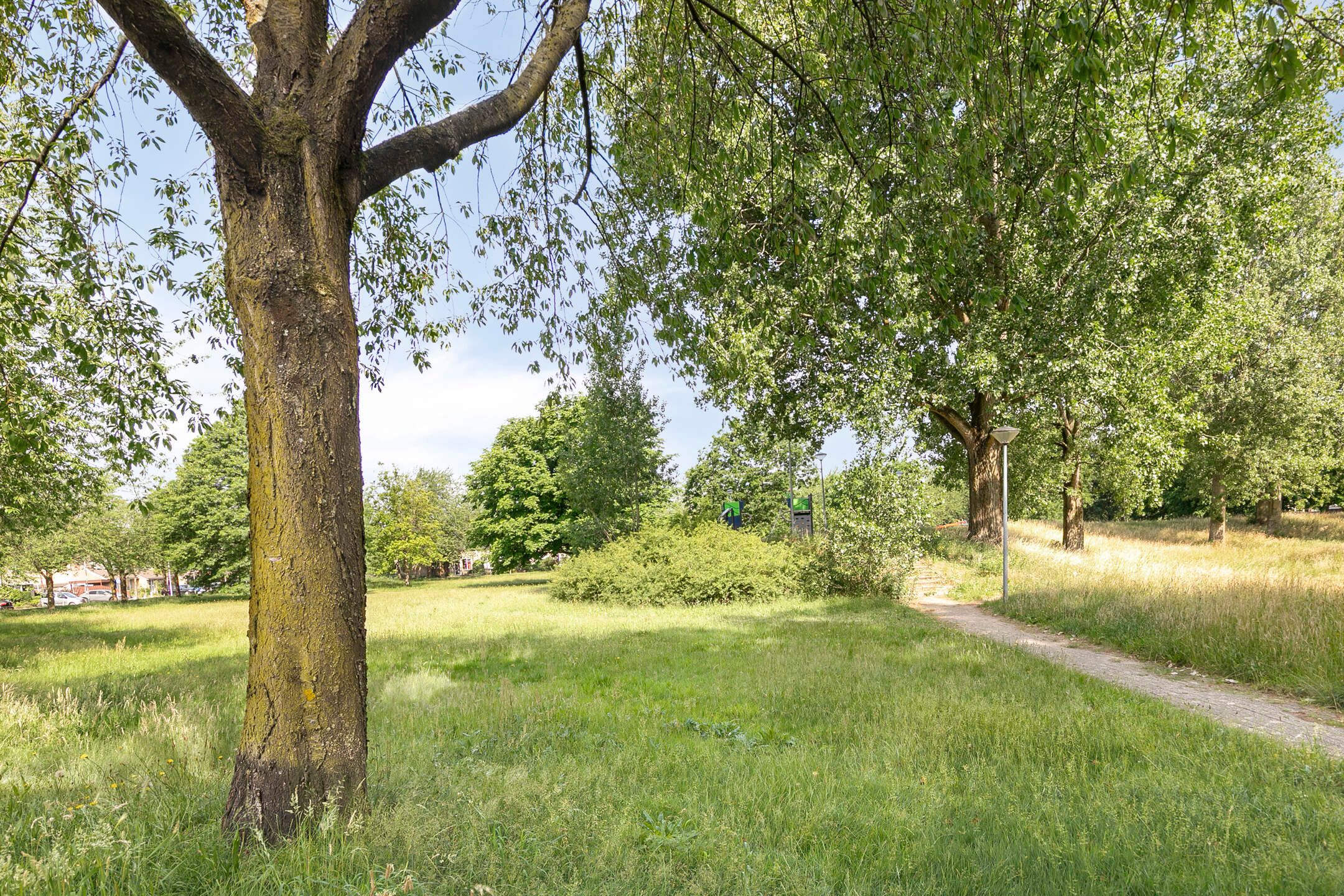 Foto 27 van Ruisdaelstraat 10