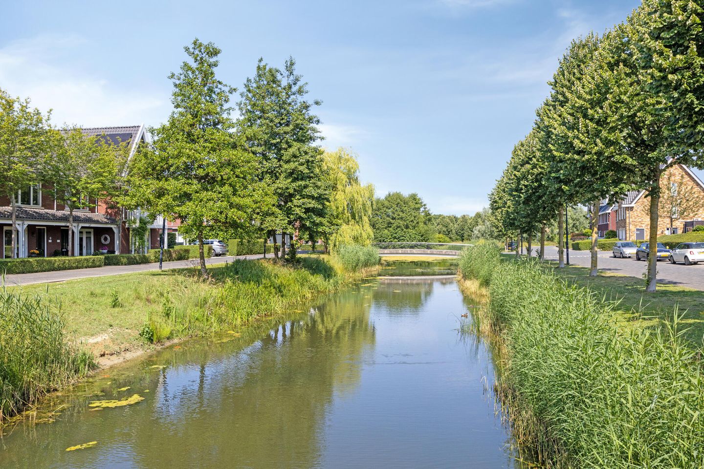 Foto 35 van Centuriostraat 18