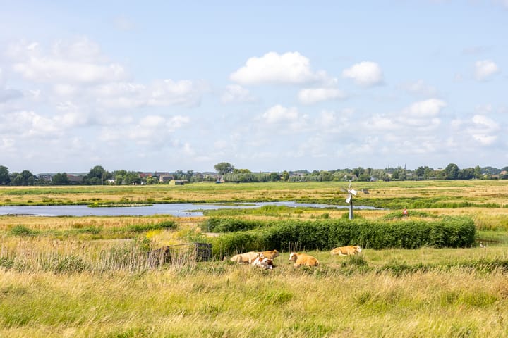 Foto 61 van Zuidersingel 113-B