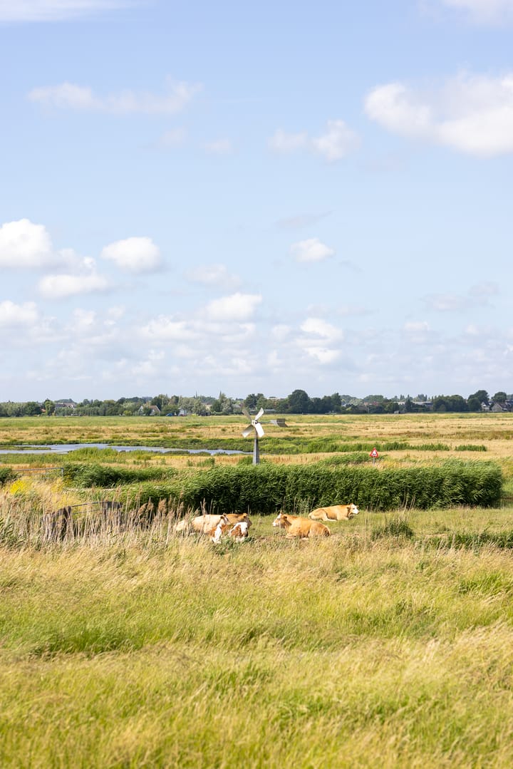 Foto 62 van Zuidersingel 113-B