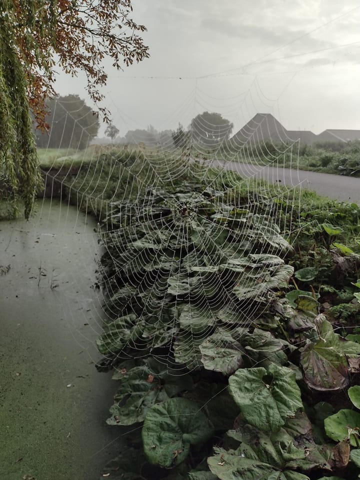 Foto 21 van Grote Sloot 489