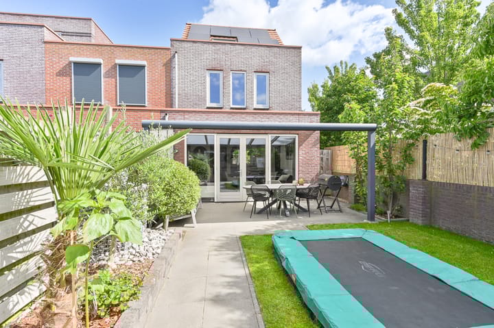 Foto 1 van Citroenvlinder 43