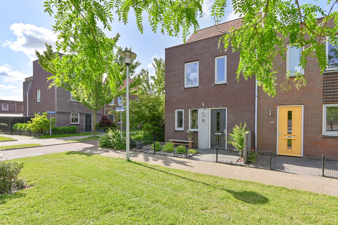 Foto 2 van Citroenvlinder 43