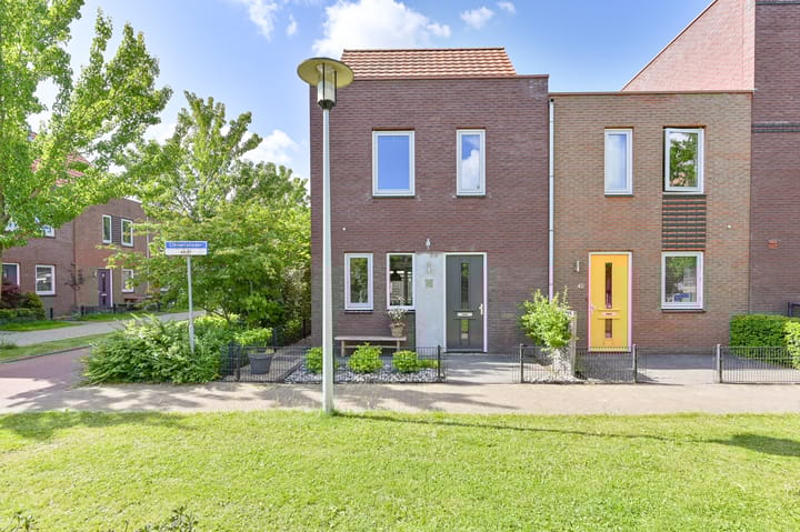 Foto 3 van Citroenvlinder 43