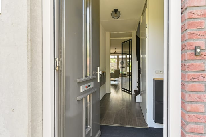 Foto 4 van Citroenvlinder 43