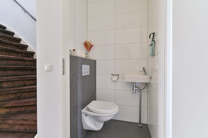 Foto 7 van Citroenvlinder 43