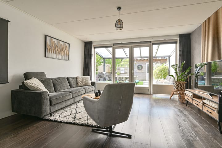 Foto 8 van Citroenvlinder 43