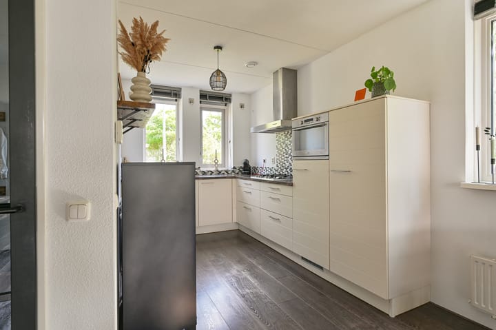 Foto 18 van Citroenvlinder 43